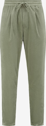 Shiwi Regular Trousers in Green: front