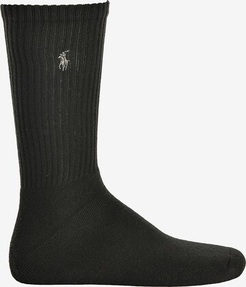 Polo Ralph Lauren Socks 'CREW W/PP-CREW-3 PACK' in Mixed colours