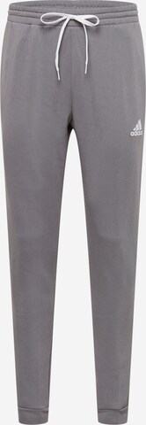 Tapered Pantaloni sportivi 'Entrada 22' di ADIDAS SPORTSWEAR in grigio: frontale