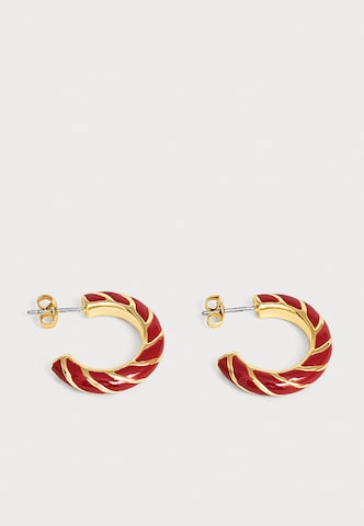 Ted BakerNaušnice 'TIFFANY' - zlatna boja