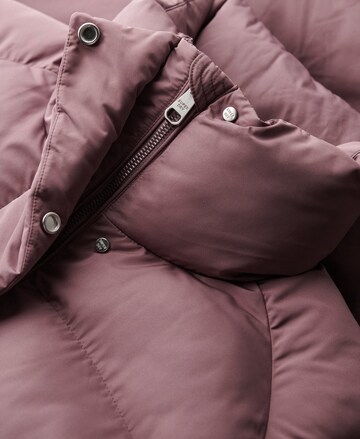 Superdry Winterjas in Lila