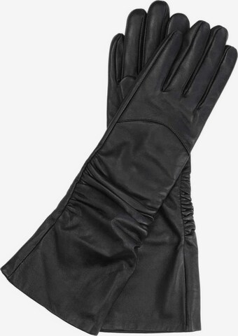 Kazar Full Finger Gloves in Black: front