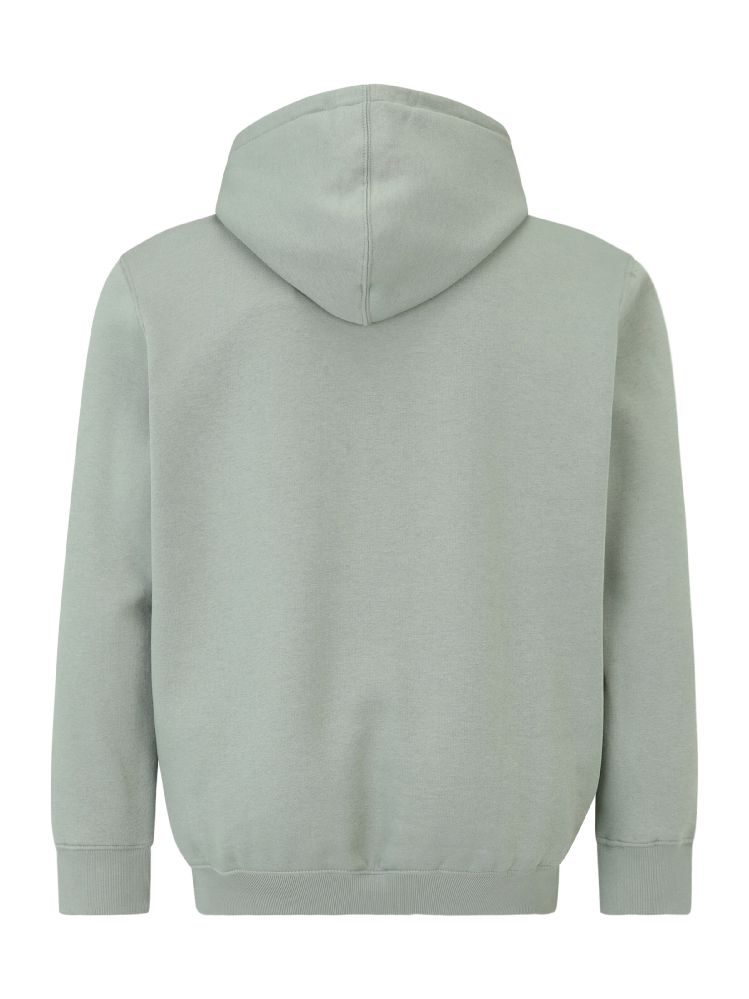 Jack & Jones Plus Свитшот 'JJEStar' в Зеленый