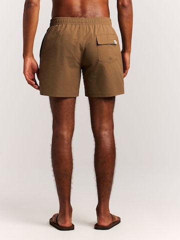 PROTEST Board Shorts 'PRTAgden' in Brown