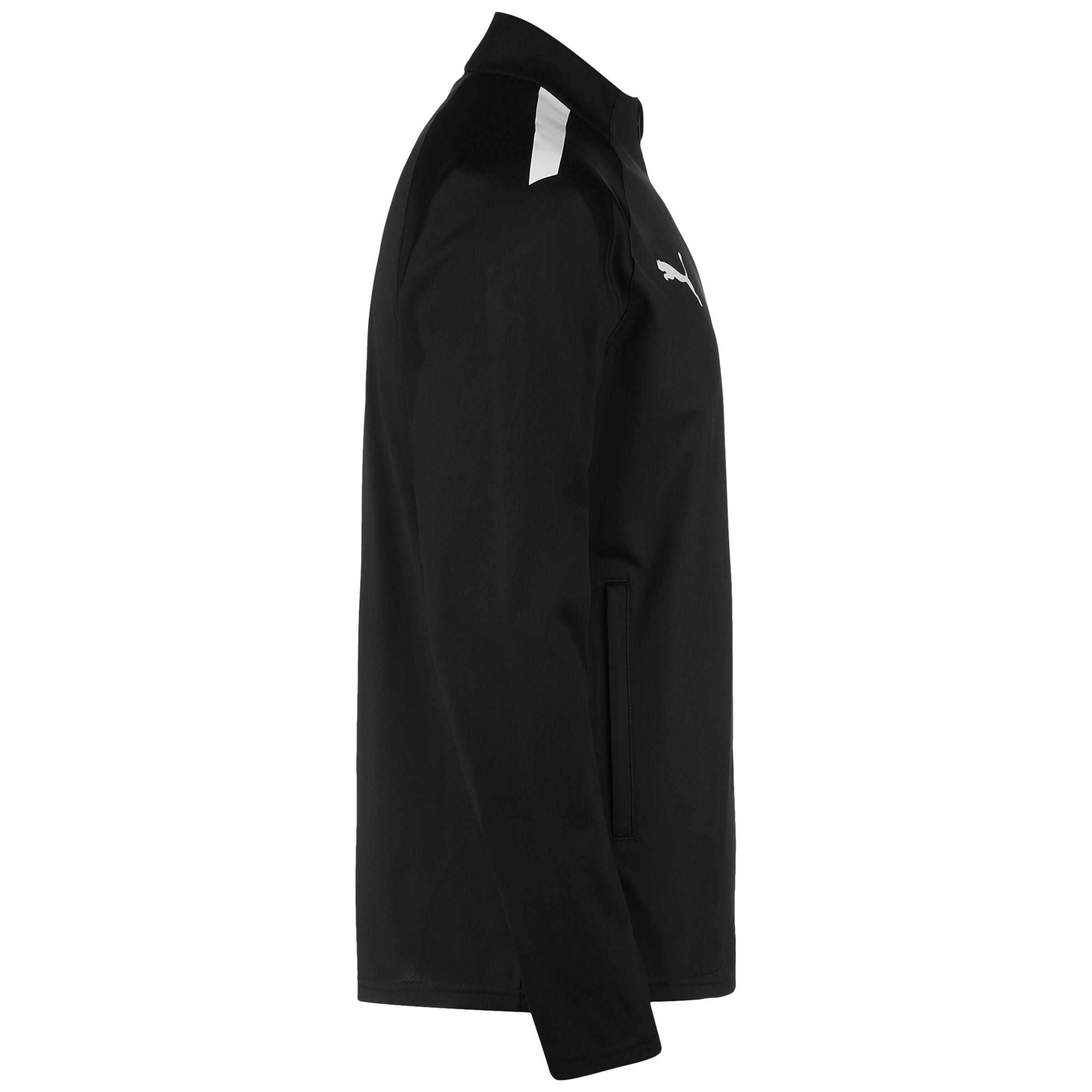 PUMA Sportjacke 'Team Liga' in Schwarz