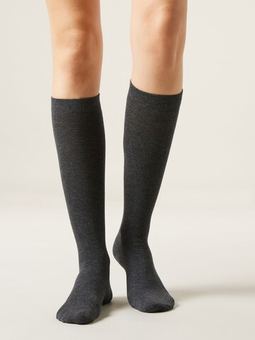 CALZEDONIA Socken in Grau: Vorderseite
