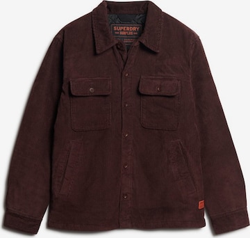 Veste mi-saison Superdry en marron : devant