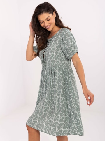 Madnezz House Kleid in Grün: Vorderseite