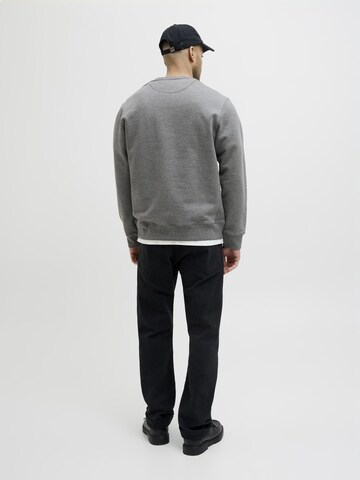 R.D.D. ROYAL DENIM DIVISION Sweatshirt i grå