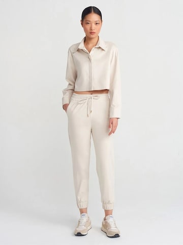 Dilvin Shirt in Beige