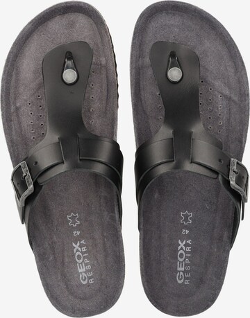 GEOX Teenslippers in Zwart