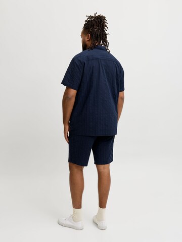 JACK & JONES Regular Fit Skjorte i blå