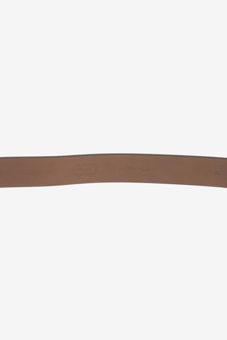 Agnona Belt in One size in Brown