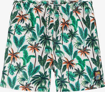 NAME IT Board Shorts 'Zoccas' in Green: front