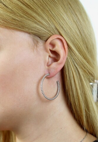 Steelwear Earrings ' barcelona' in Silver