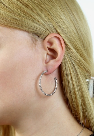 Steelwear Earrings ' barcelona' in Silver