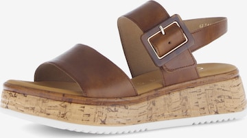GABOR - Sandália em castanho: frente