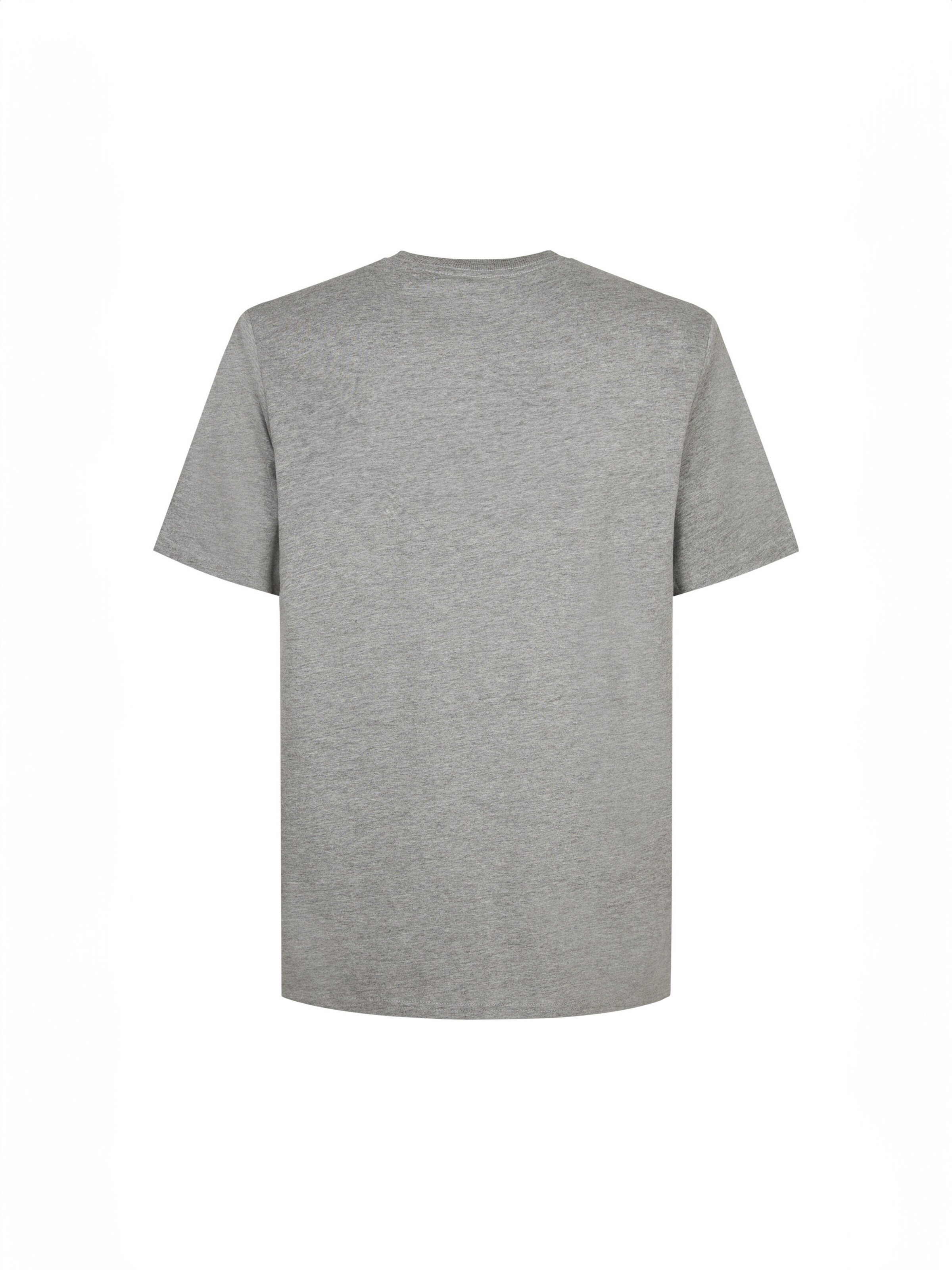 O'NEILL Tričko 'The Future Surf Society' - Sivá