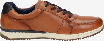 SIOUX Sneakers laag in Bruin