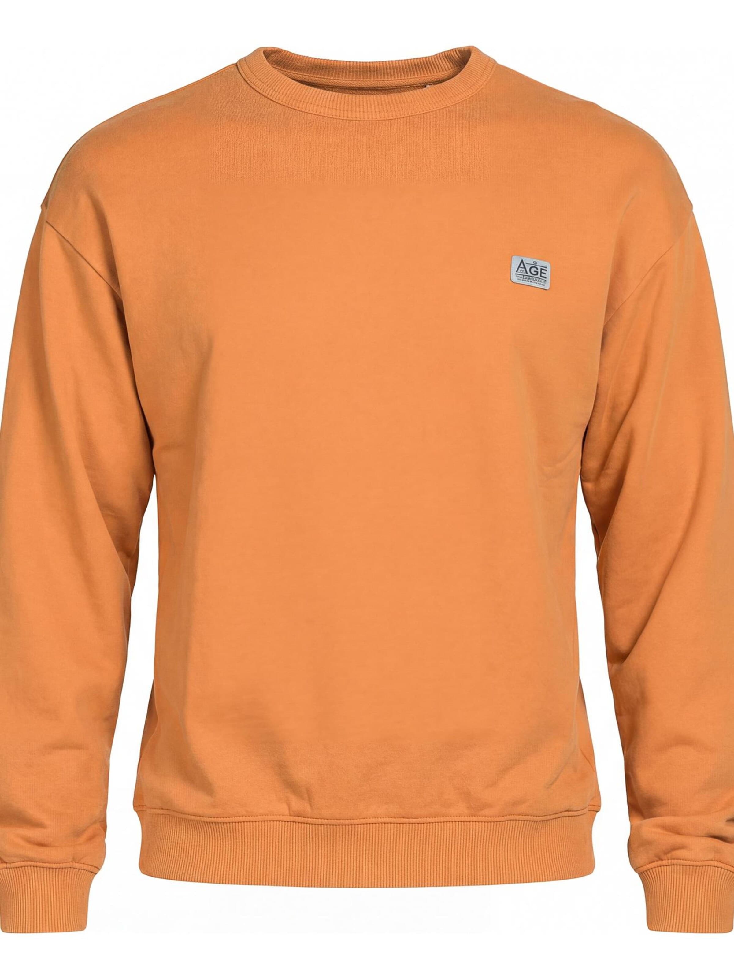 Carrera Jeans Sweatshirt 'Boxy Fit'‌‌‌‌‌‌ in Orange