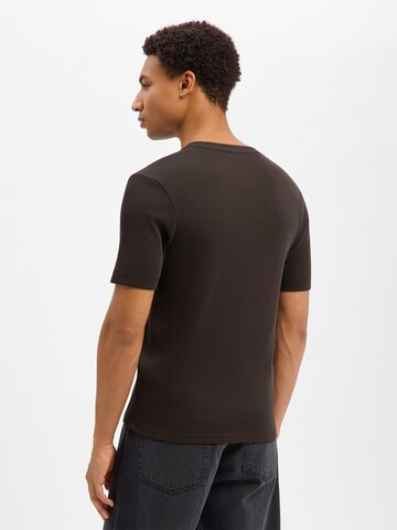 T-Shirt 'Enil' DRYKORN en marron