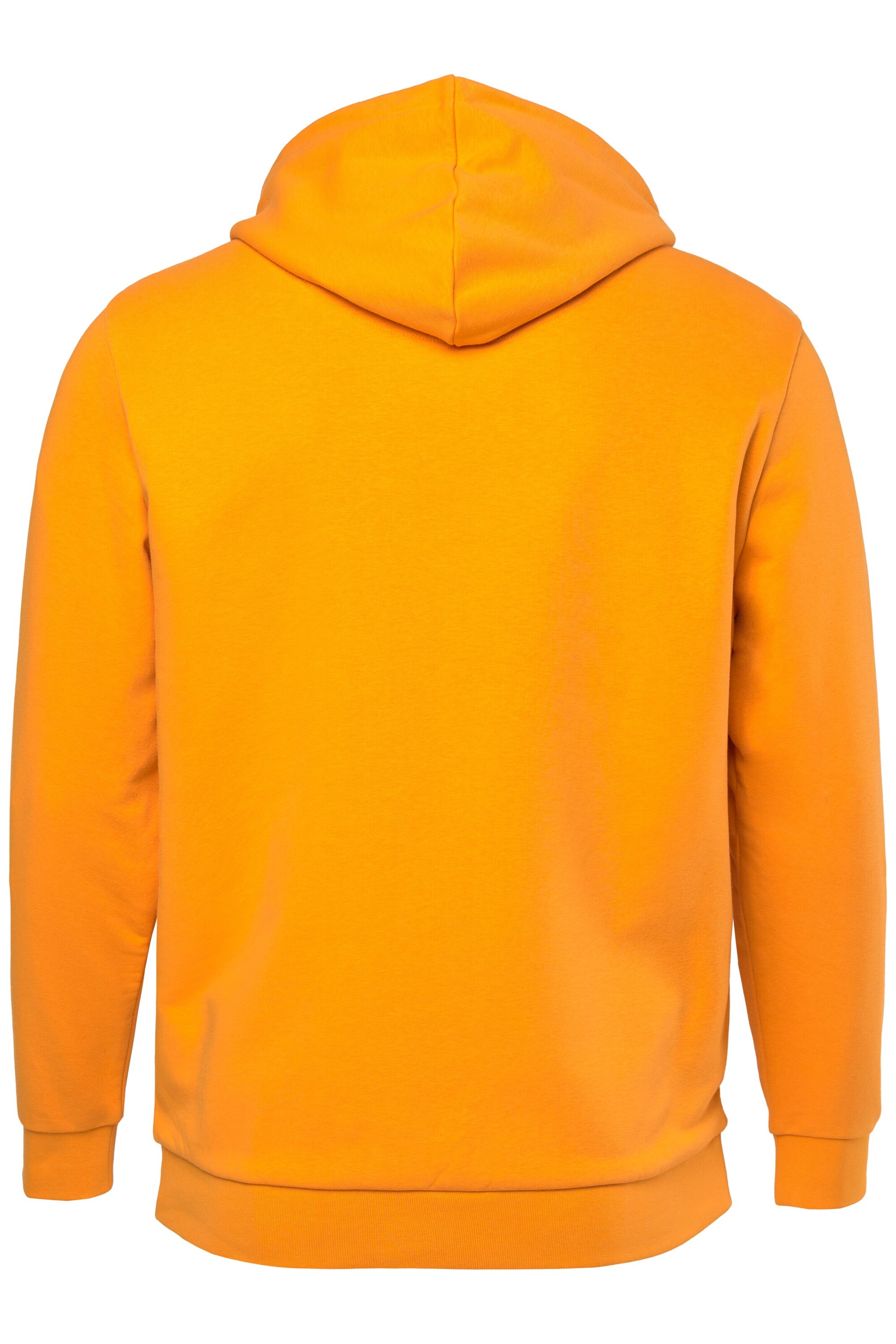 JAY-PI Sweatshirt in Orange