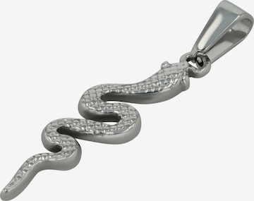 Akzent Pendant 'Apophis, langlebig' in Silver: front