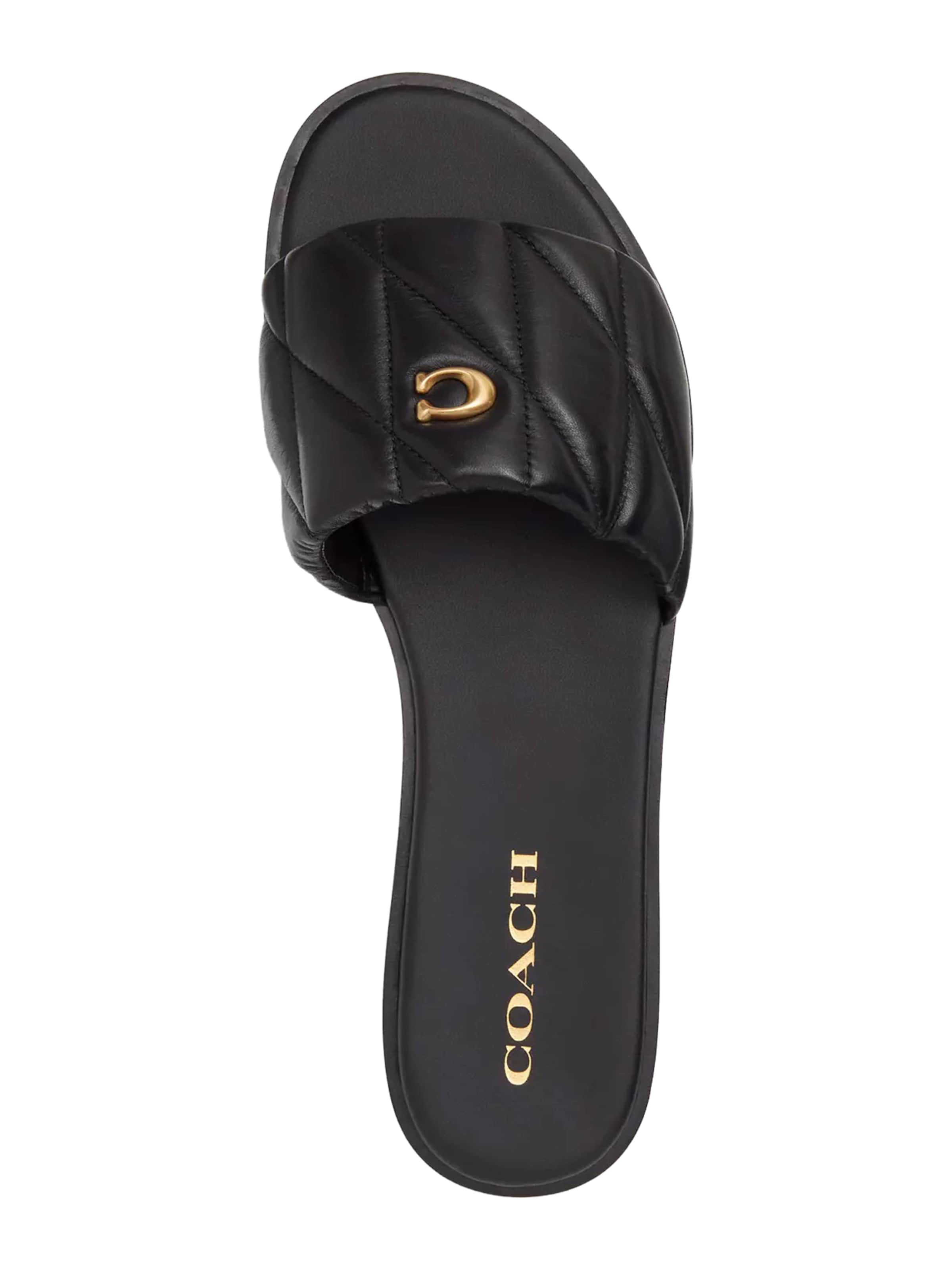 COACH Пантолеты 'Holly' в Черный