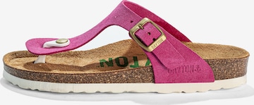 rožinė Bayton Šlepetės per pirštą 'MERCURE': priekis