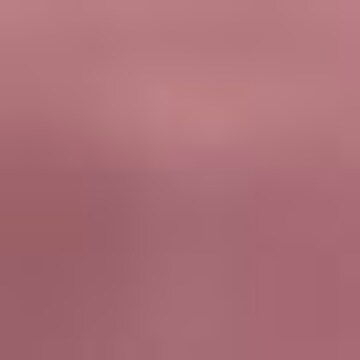 TRIUMPH Minimizer TRIUMPH Minimizer-BH in Pink