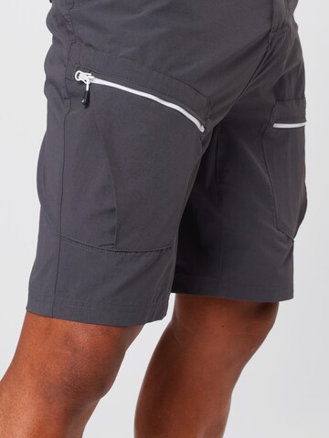 Regular Pantalon outdoor 'Tuned In II' DARE2B en gris