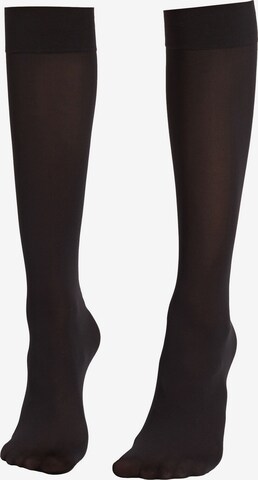 CALZEDONIA Knee High Socks in Black: front