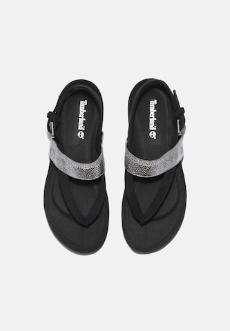 TIMBERLAND T-Bar Sandals in Black