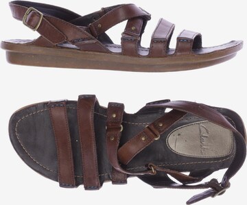 CLARKS Sandals & High-Heeled Sandals in 38,5 in Brown: front