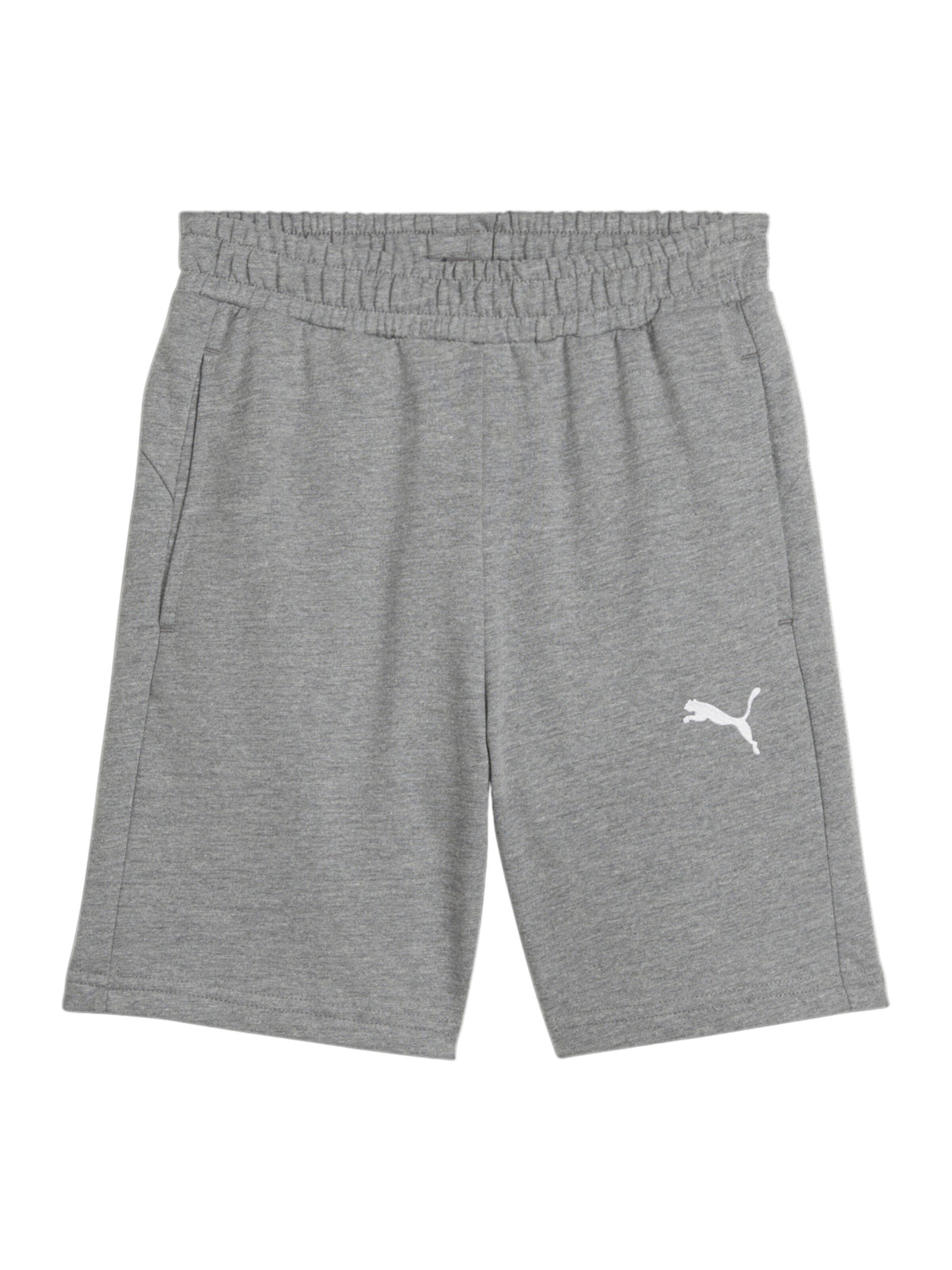 PUMA Regular Sportshorts in Grau: Vorderseite