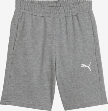 PUMA Regular Sportshorts in Grau: Vorderseite