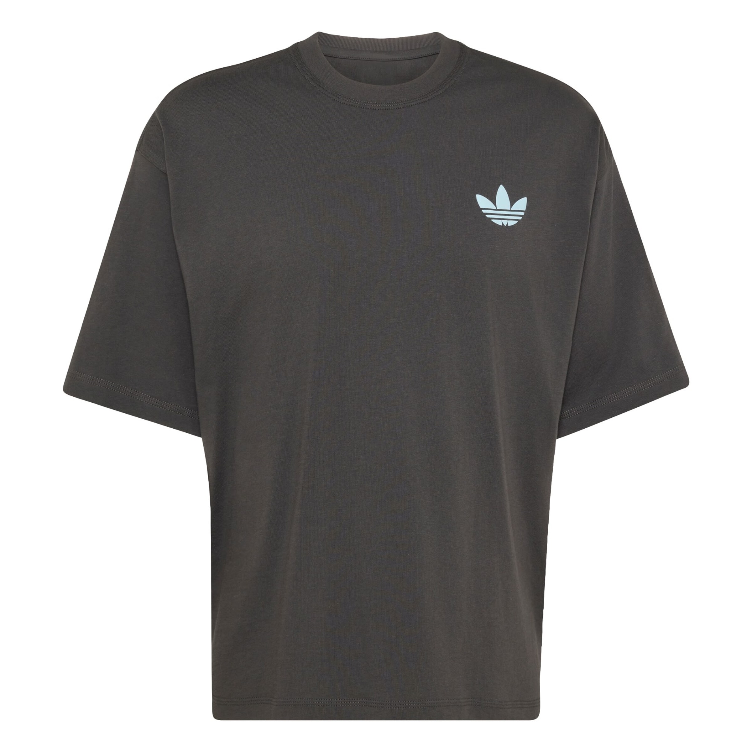 ADIDAS ORIGINALS T-Shirt 'Mountain' en bleu clair / gris / gris clair / noir, Vue avec produit
