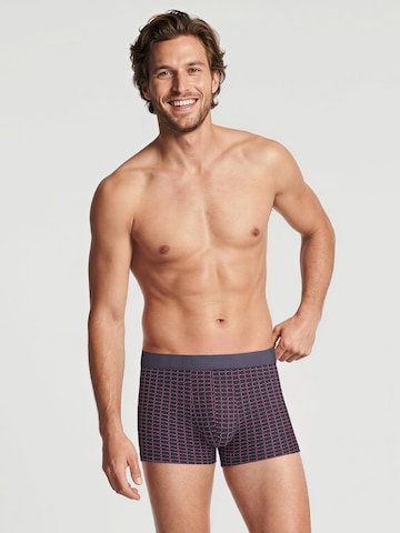 Boxer 'Grafic Cotton' di CALIDA in grigio