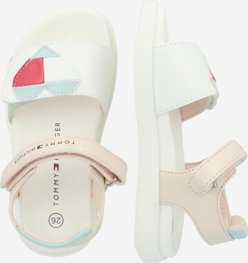 TOMMY HILFIGER Sandals in Mixed colors