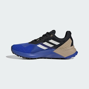 ADIDAS TERREX Lage schoen 'Soulstride' in Blauw