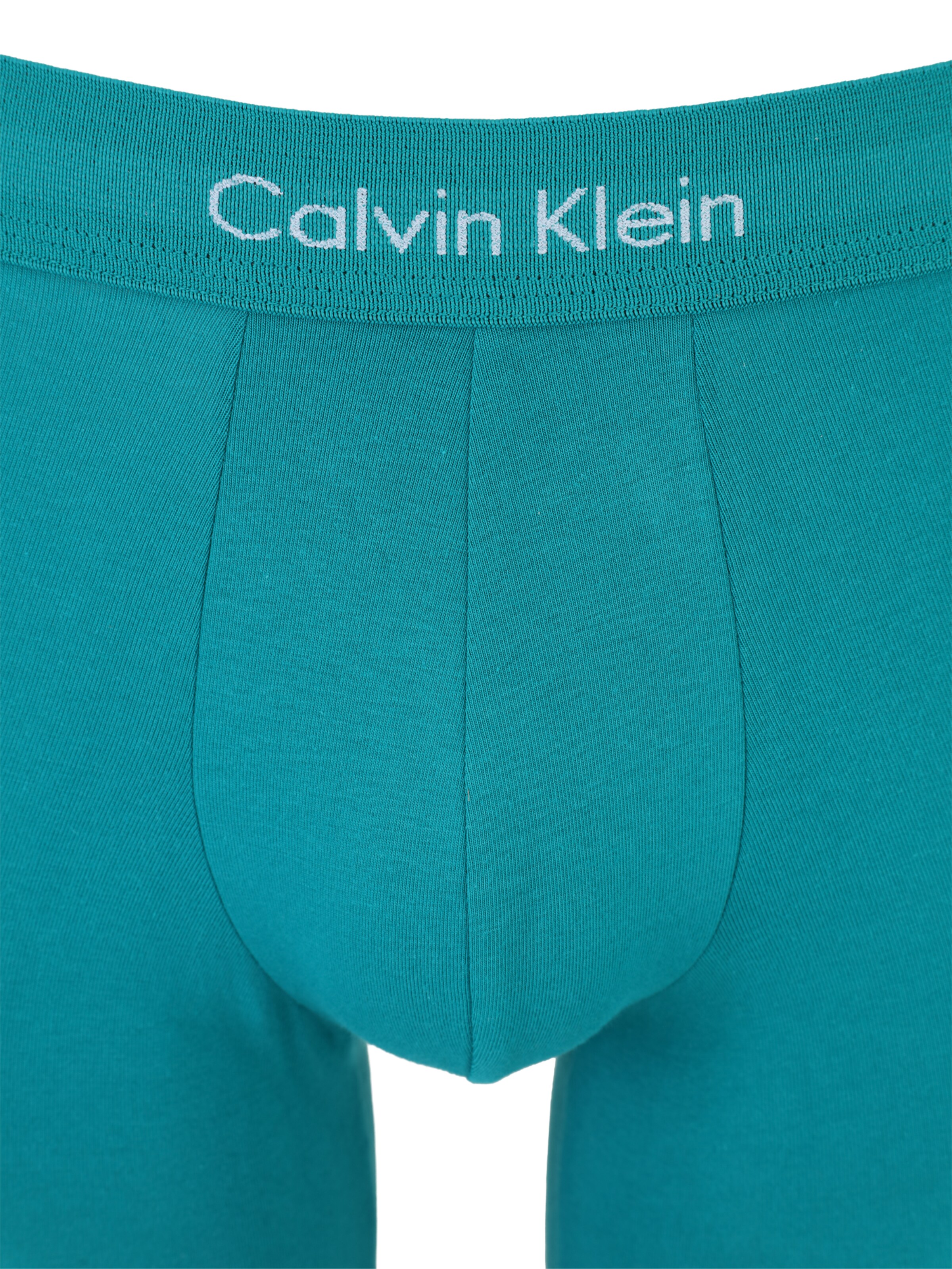 Calvin Klein Underwear Regular Boxer shorts in Blue