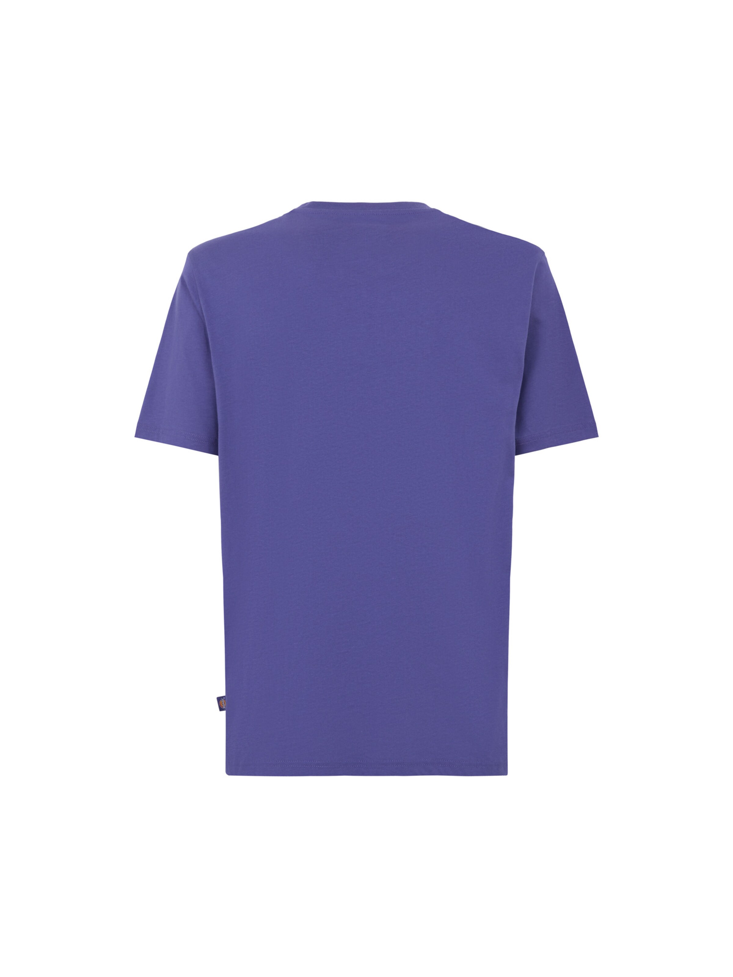 DICKIES Tričko 'Mapleton' - Modrá