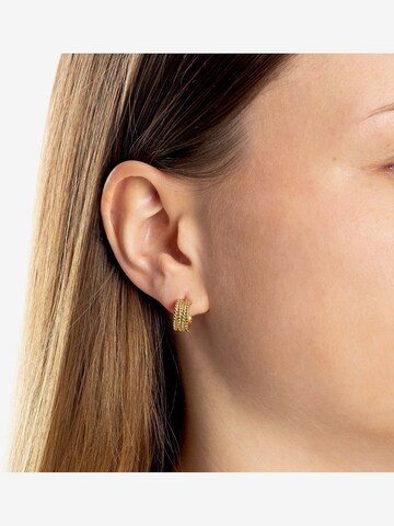 LEONARDO Earrings in Gold: front