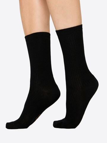 Nur Die Socks ' Soft Modal Ripp ' in Black