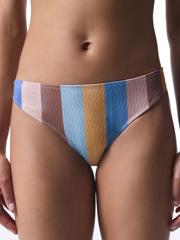 Penti Bikini hlačke 'Bikinihosen' | mešane barve barva: sprednja stran