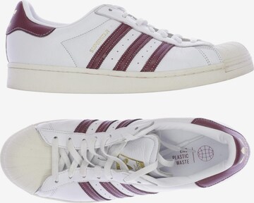 ADIDAS ORIGINALS Sneakers & Trainers in 45 in Mixed colors: front