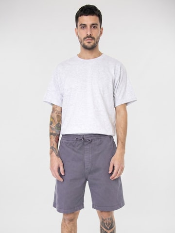Carhartt WIP Baggy Broek 'Lawton Short Decent Purple' in Grijs