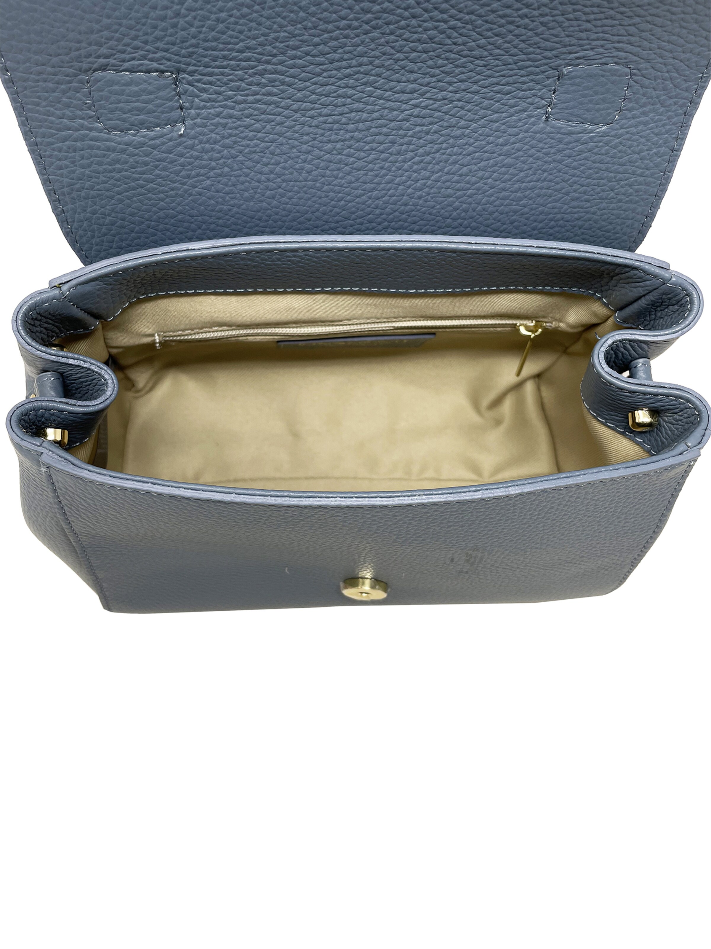 CHICCA BORSE Handbag in Blue