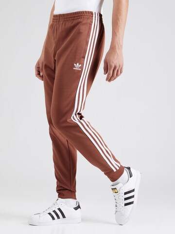 ADIDAS ORIGINALS Tapered Παντελόνι 'Adicolor Classics Sst' σε καφέ: μπροστά