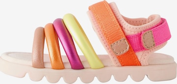Next Sandale in Mischfarben: Vorderseite